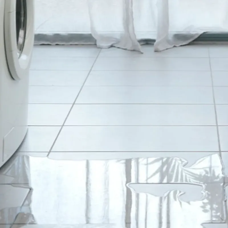 Appliance Leak Cleanup in Coosa County, AL