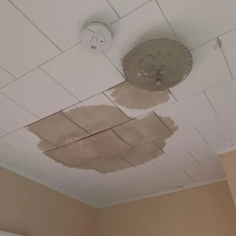 Ceiling Water Damage Repair in Coosa County, AL