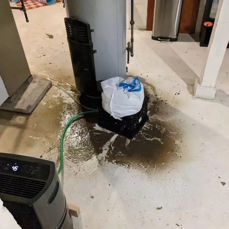 Sewage Backup Cleanup Service in Coosa County, AL